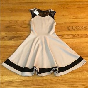 Nude/Black Dress